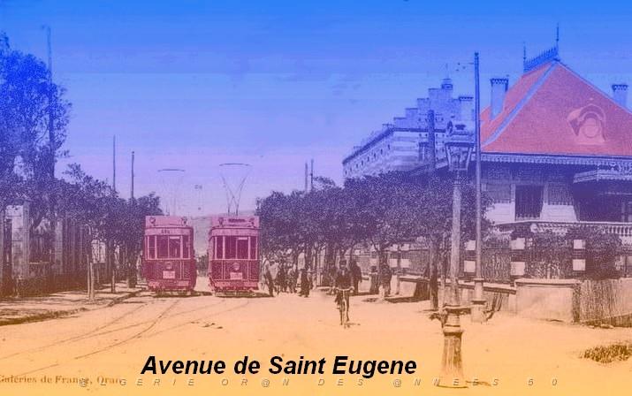 av st eigene.jpg